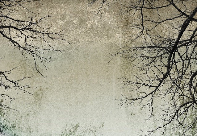 Papier peint Forêt Enchantée, XXL, tendance