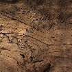 Papier peint Wood & Map, XXL, tendance