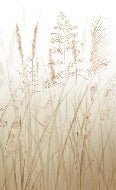 Papier peint toilette fleur des champs de blé beige, XXL, tendance