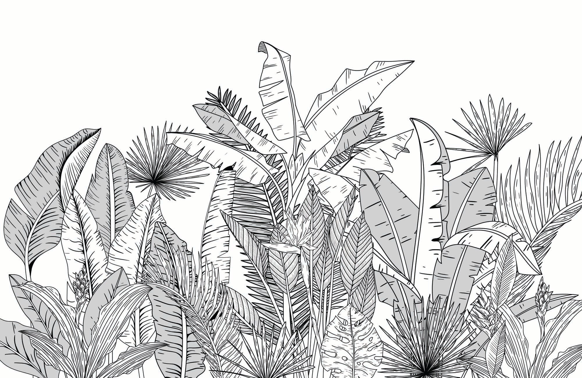 Papier peint salle de bain noir et blanc botanic leaf, XXL, tendance