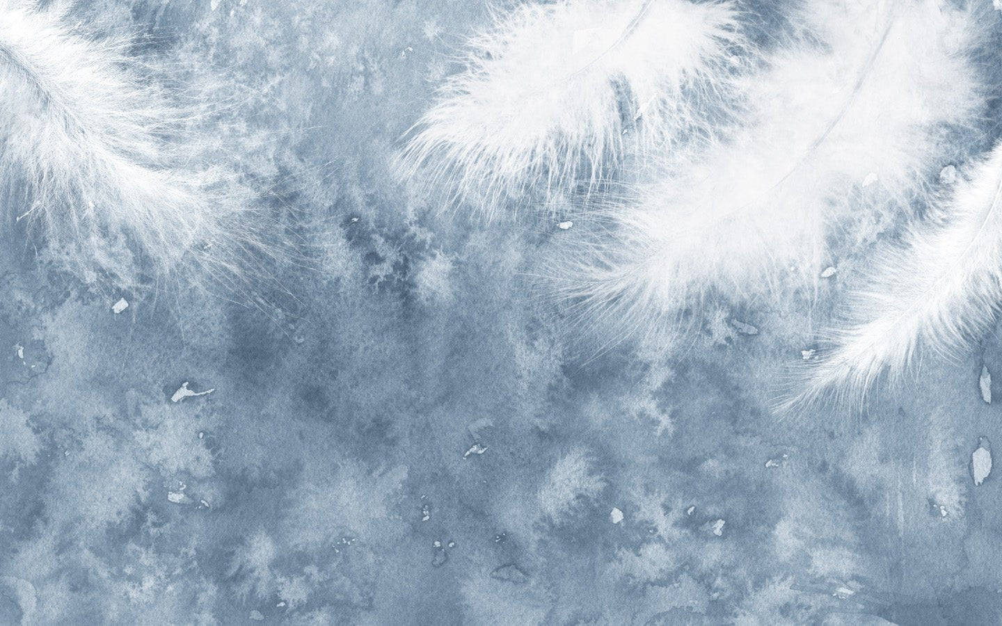 Papier peint salle de bain Plume Blanche, mural concept, tendance