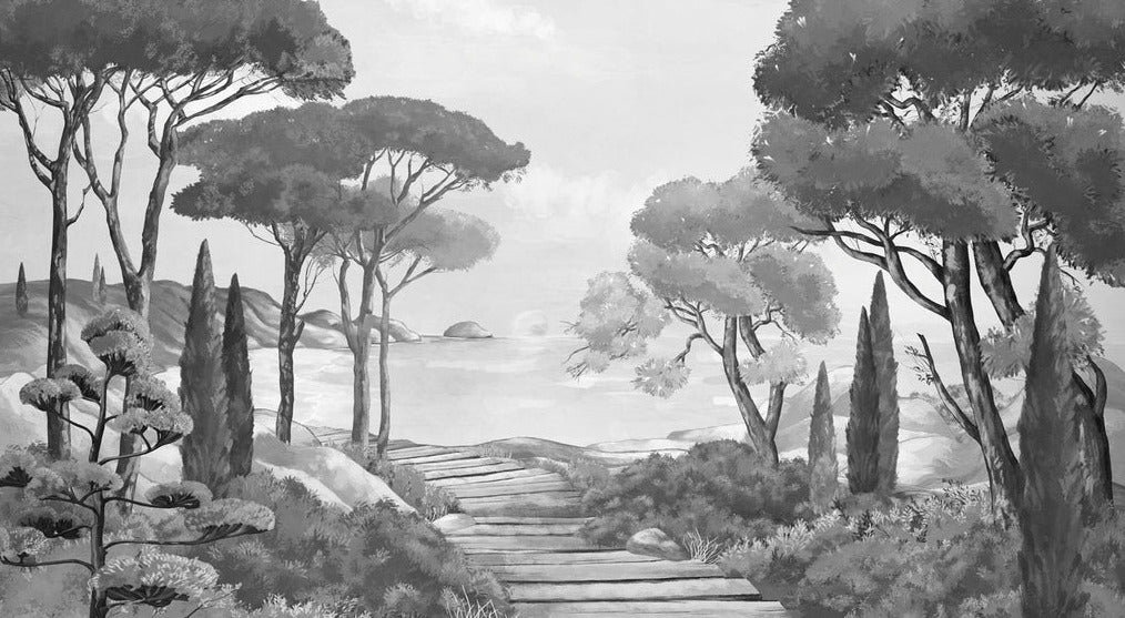 Papel pintado Walk in the creeks, blanco y negro