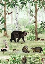 Papel pintado bebé Suavidad del bosque