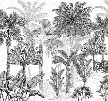 Papel pintado de moda en la jungla de coco