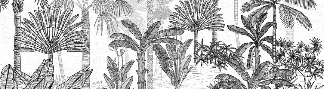 Papel pintado de moda en la jungla de coco