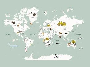 Papel pintado Mapa del mundo en francés para niños verde