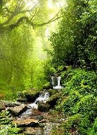 Papel pintado Cascada y bosque