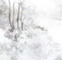 Papier peint forêt de pin aquarelle, XXL, tendance