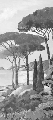 Papel pintado Walk in the creeks, blanco y negro