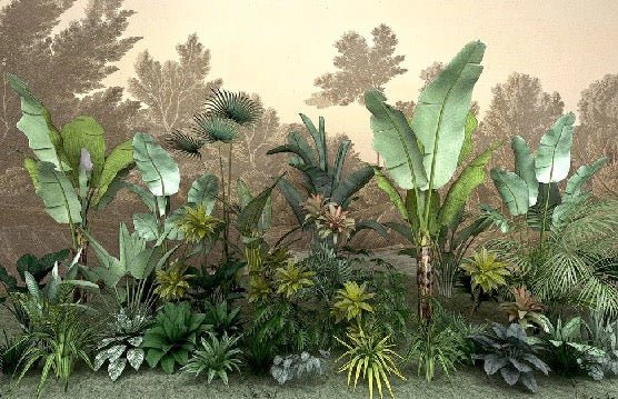 Papel pintado Jungle tendencia indonesia