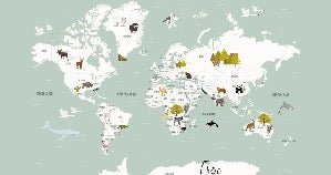 Papel pintado infantil mapamundi francés verde