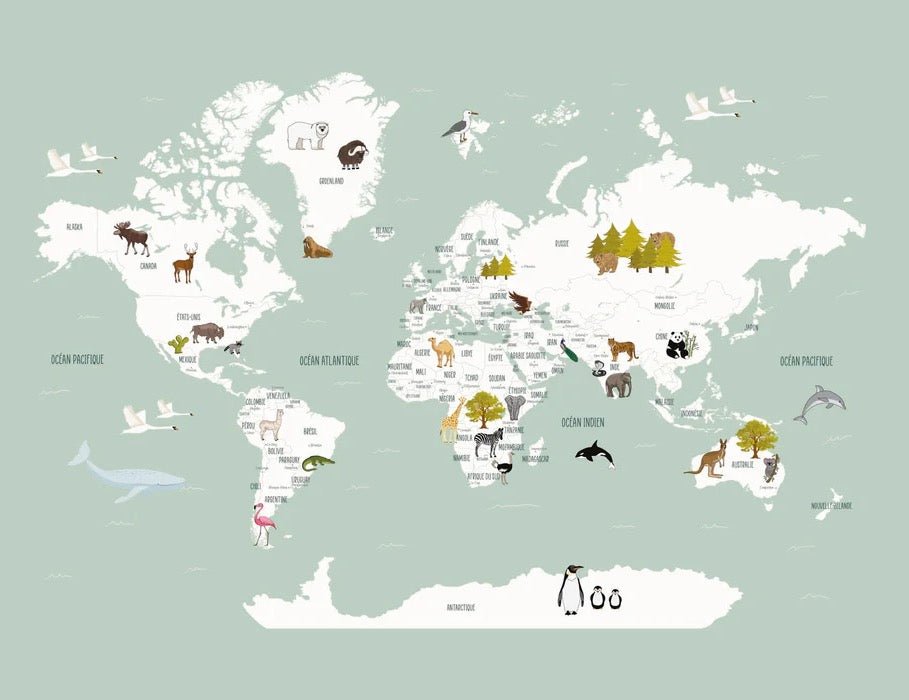 Papel pintado infantil mapamundi francés verde