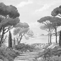 Papel pintado Walk in the creeks, blanco y negro