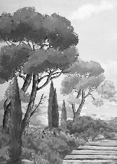 Papel pintado Walk in the creeks, blanco y negro