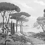 Papel pintado Walk in the creeks, blanco y negro