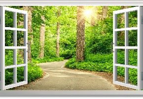 Papel pintado trampantojo para un paseo por el bosque
