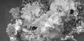 Papier peint fleur pivoine noir et blanc, XXL, tendance