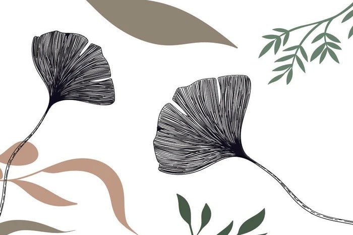 Papel pintado Floral artista ginkgo