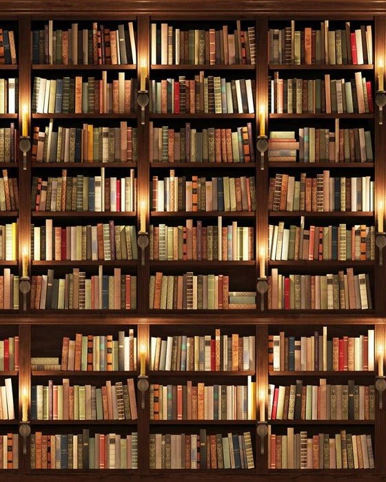 Papel pintado trampantojo Authentique Bibliothèque
