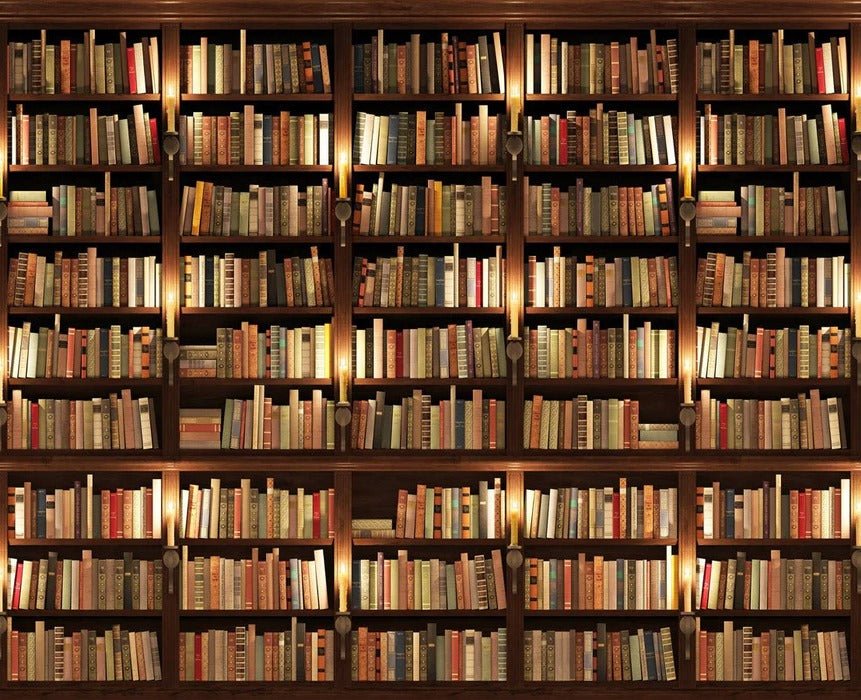 Papel pintado trampantojo Authentique Bibliothèque