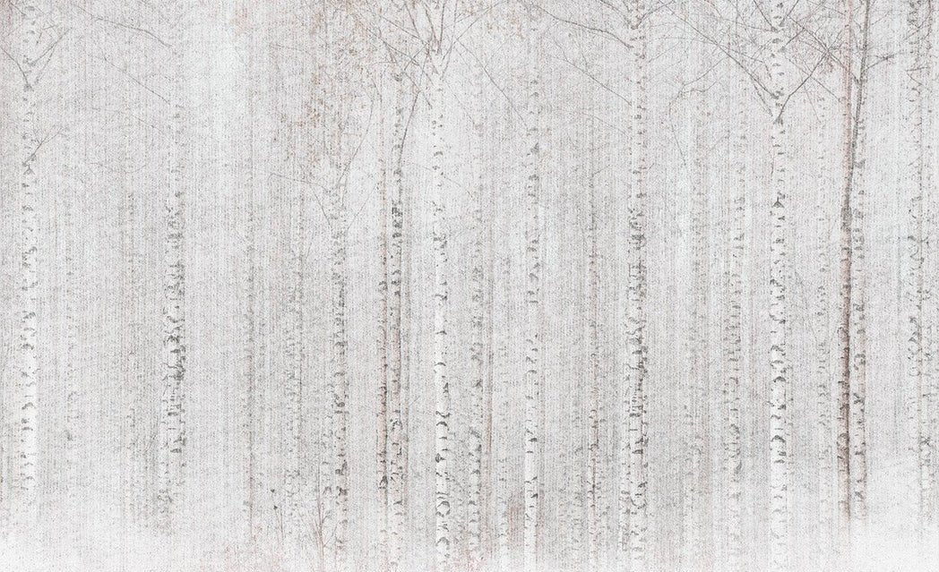 Papier peint forêt de bouleaux enveloppante, XXL, tendance