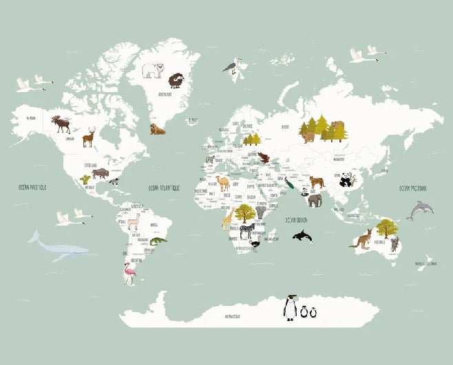 Papel pintado Mapa del mundo en francés para niños verde