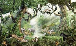 Papel pintado infantil jungla secreta