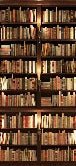 Papel pintado trampantojo Auténtica biblioteca