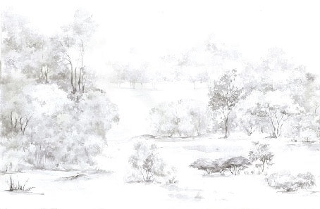 Papier peint forêt de pin aquarelle, XXL, tendance