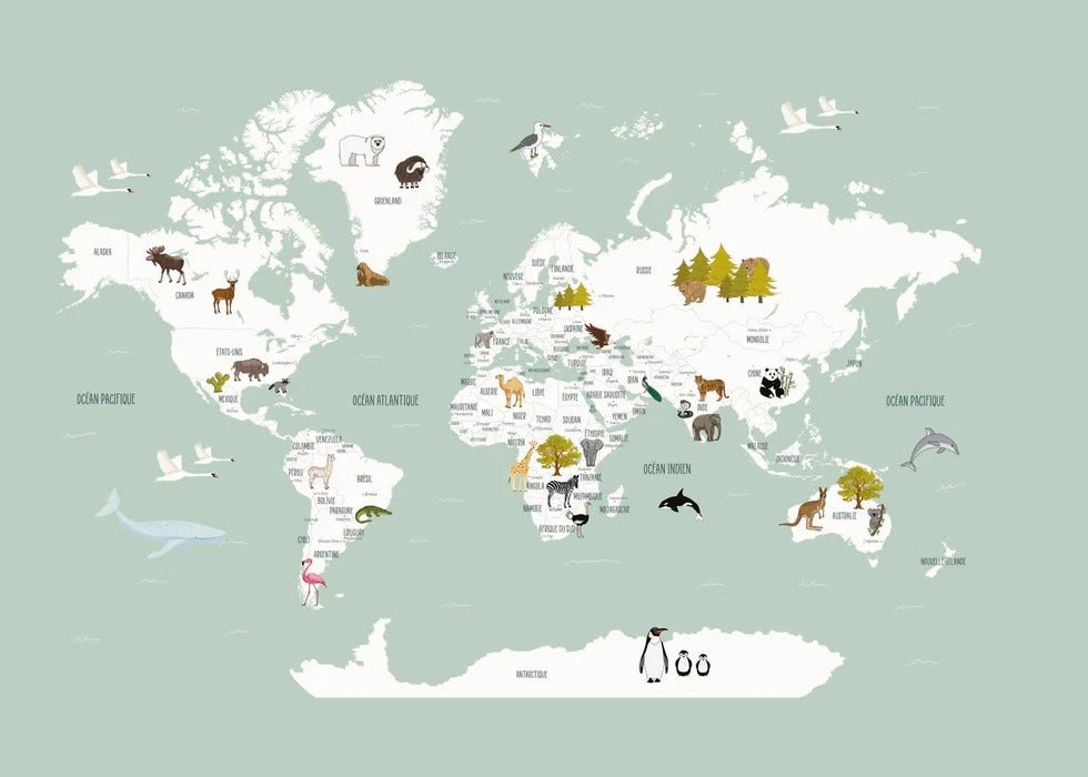 Papel pintado Mapa del mundo en francés para niños verde