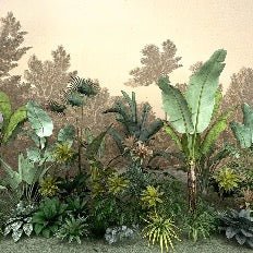 Papel pintado Selva indonesia