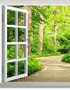 Papel pintado trampantojo para un paseo por el bosque