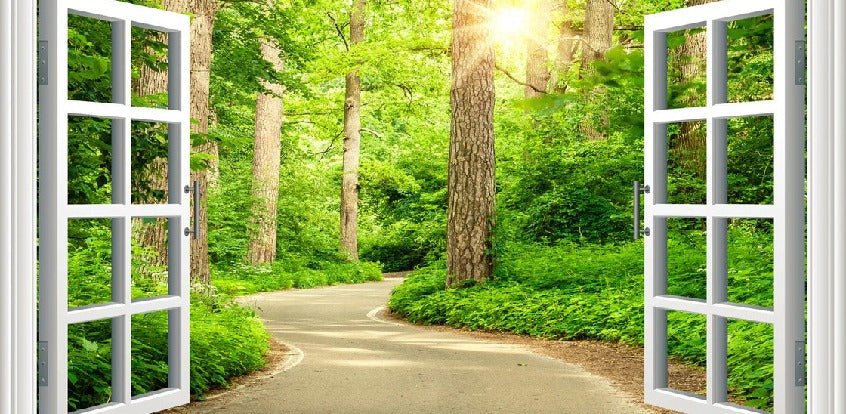 Papel pintado trampantojo para un paseo por el bosque
