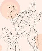 Papel pintado con motivos florales elegantes