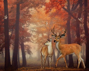 Papier peint Forêt couleur d'automne & Cerfs, XXL, tendance