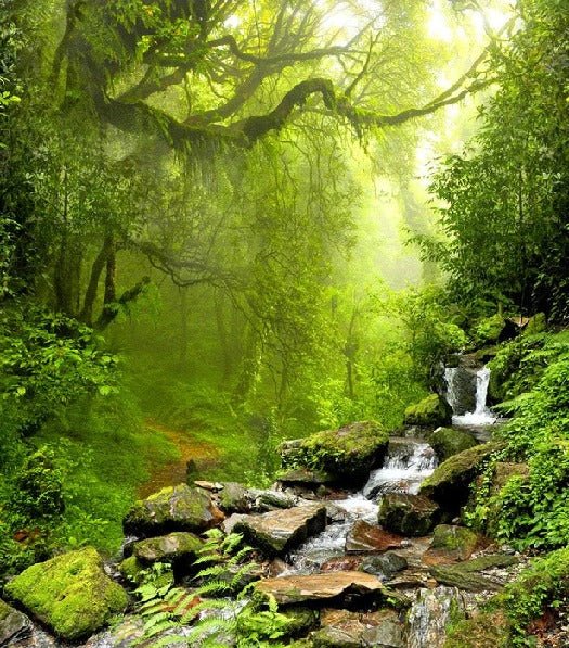 Papel pintado Cascada y bosque