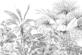 Papel pintado tropical con grabado monocromo