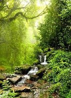 Papel pintado Cascada y bosque