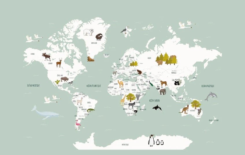 Papel pintado infantil mapamundi francés verde