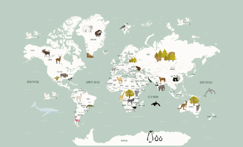 Papel pintado Mapa del mundo en francés para niños verde