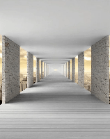 Papel pintado trampantojo New York Hall