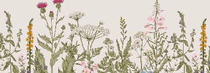 Papier peint fleur botanique folk romantique, XXL, tendance