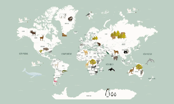 Papel pintado Mapa del mundo en francés para niños verde