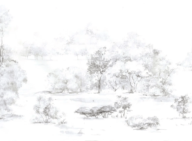 Papier peint forêt de pin aquarelle, XXL, tendance