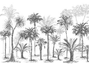 Papel pintado Jungle Black & White