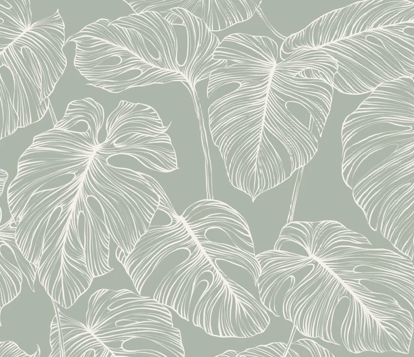 Papel pintado hoja de monstera salvia