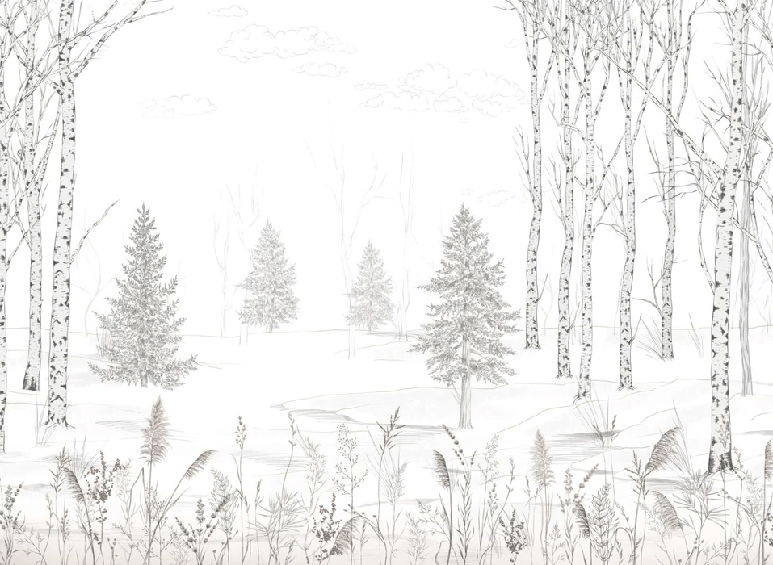Papier peint forêt noir et blanc – Douceur des Bois - Muralconcept