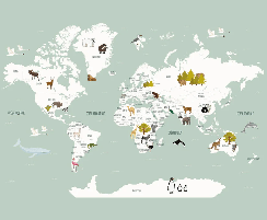 Papel pintado Mapa del mundo en francés para niños verde