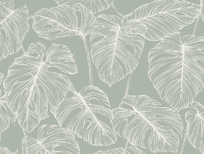 Papel pintado hoja de monstera salvia