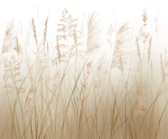 Papel pintado con flores de campos de trigo
